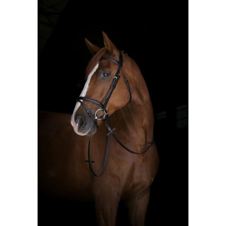 eric-thomas-elite-hunter-reins-16-mm (2).jpg
