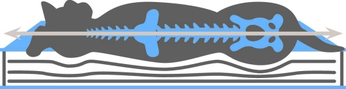 80332+50.jpg