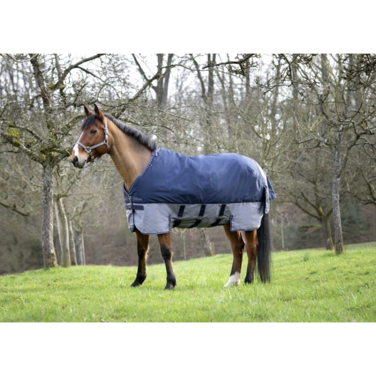 derka padokowa Equi Theme TYREX 600D
