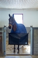 kurtyna-bramka-na-boks-horze-stable-guard