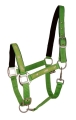 Kantar Fair Play Active Horses