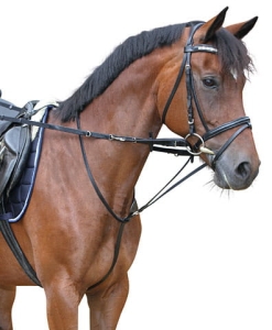 Wodze  Covalliero "Thiedemann"