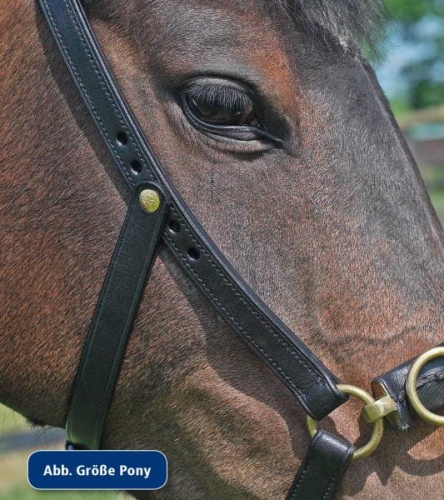 Kawecan-Busse-Professional