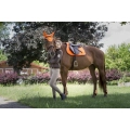 equi-theme-neon-fly-mask (5).jpg