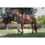 equi-theme-neon-fly-mask (5).jpg