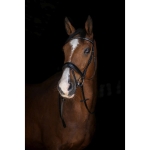 eric-thomas-elite-web-reins-16-mm.jpg