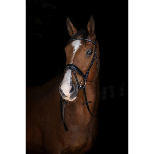 eric-thomas-elite-web-reins-16-mm.jpg