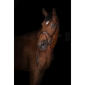 eric-thomas-elite-rubber-reins-small-pimple-grips (1).jpg