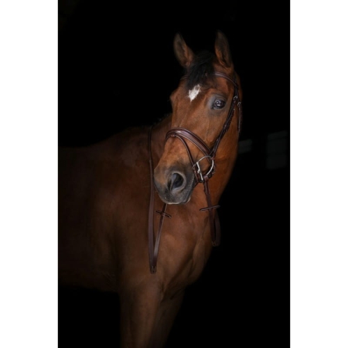 eric-thomas-elite-rubber-reins-small-pimple-grips (1).jpg