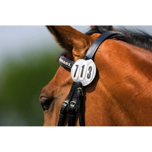 Numerek startowy Equi Theme "Round" 24h