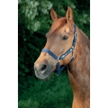 equi-kids-ponylove-nylon-head-collar.jpg