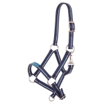 Kantar źrebięcy Premiere "Fun"