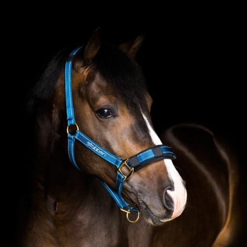 stablehalter10610.jpg