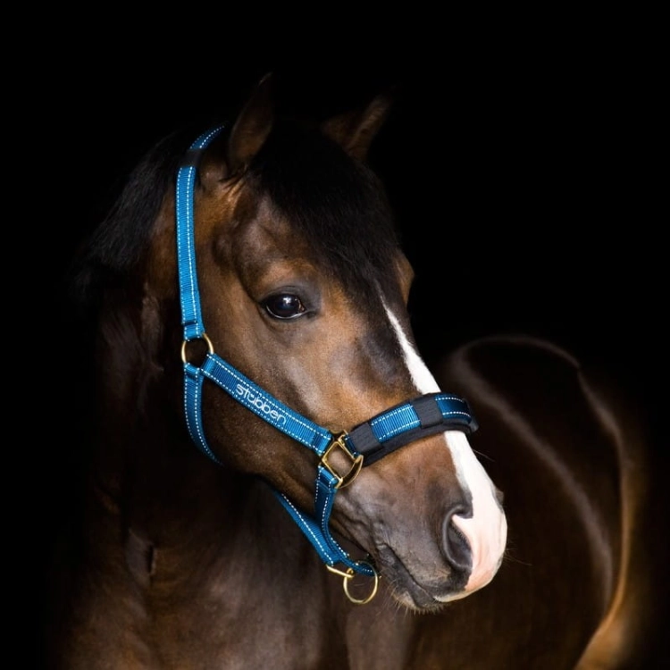 stablehalter10610.jpg