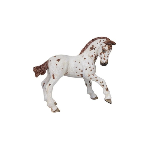 papo-appaloosa-foal.jpg