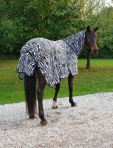 Derka siatkowa Covalliero RugBe Zebra
