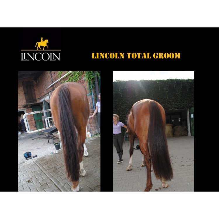 suchy-szampon-lincoln-total-groom