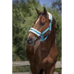 Norton-Kantar-Mouton-Synthetique-Doux