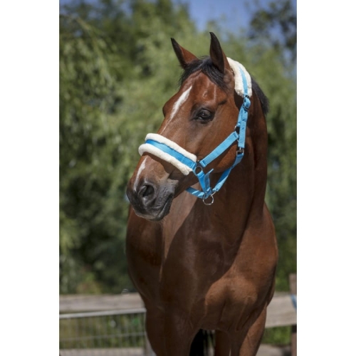 Norton-Kantar-Mouton-Synthetique-Doux