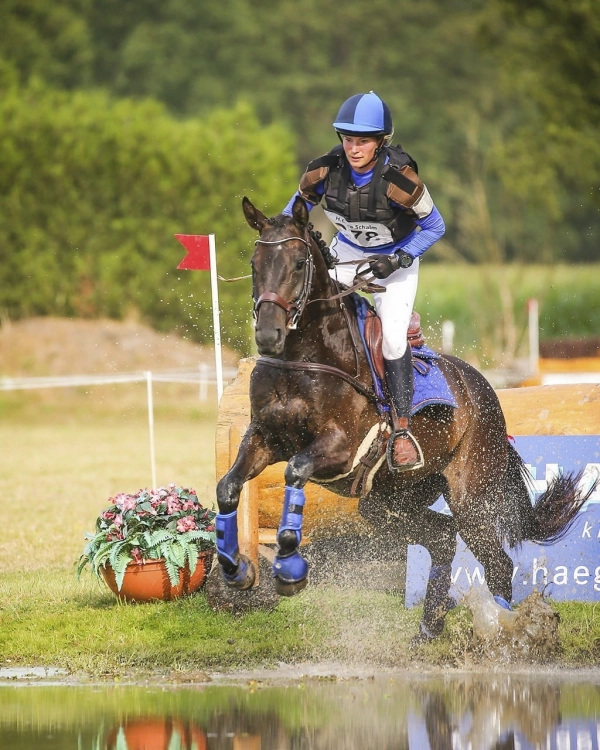 Ochraniacze krosowe tylne QHP Q-Cross Eventing Technical