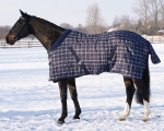 Derka-stajenna-QHP-Luxury