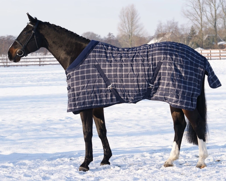 Derka-stajenna-QHP-Luxury