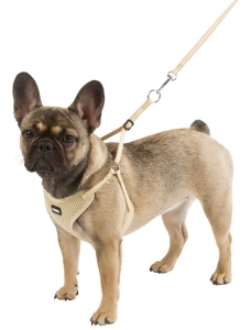 Zestaw smycz i szelki dla psa KERBL "Puppy" 30-50 cm