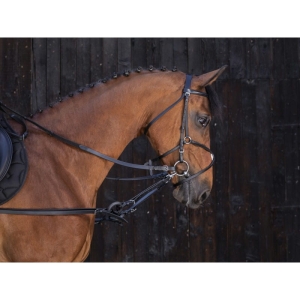 Wypinacze skórzane z gumowym kółkiem Riding World 