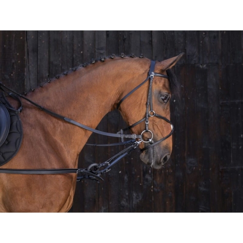 riding-world-rubber-side-reins.jpg