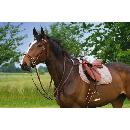 riding-world-top-class-hunting-breastplate (1).jpg