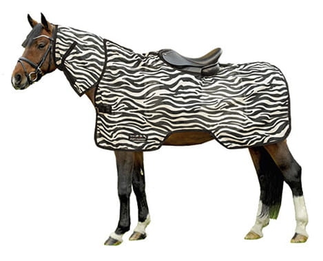 Derka-siatkowa-HKM-Zebra
