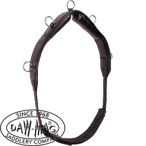 Pas do lonżowania skórzany DAW-MAG 5 kółek