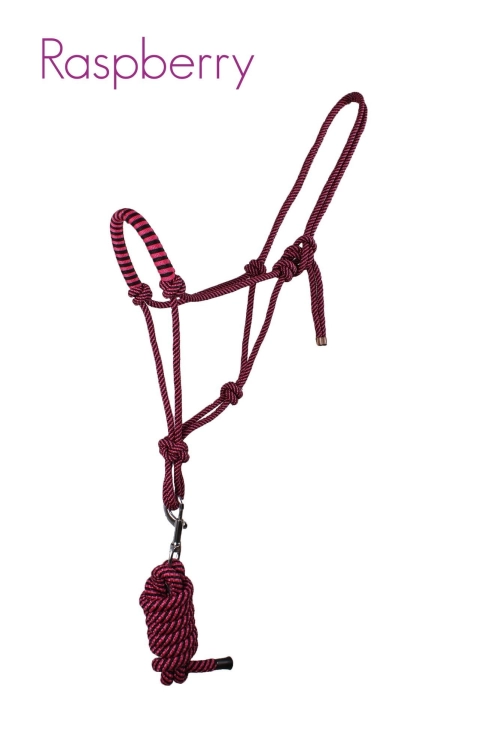 1072raspberry_1.jpg