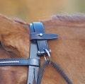 Czambon-Busse-Basic