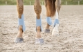ochraniacze-tylne-horze-chicago-fetlock