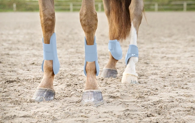 ochraniacze-tylne-horze-chicago-fetlock