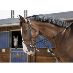 riding-world-gogue-with-pulleys.jpg