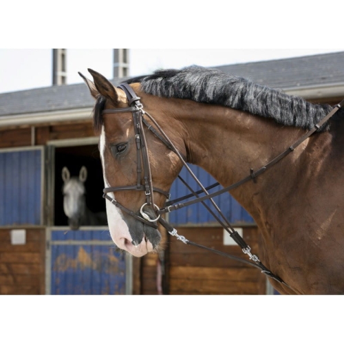 riding-world-gogue-with-pulleys.jpg