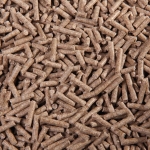 biotin3.jpg