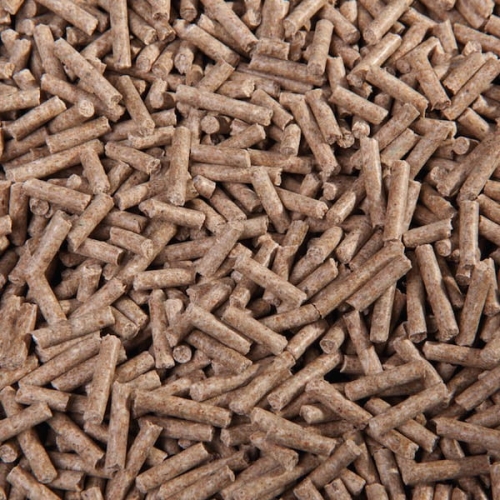 biotin3.jpg