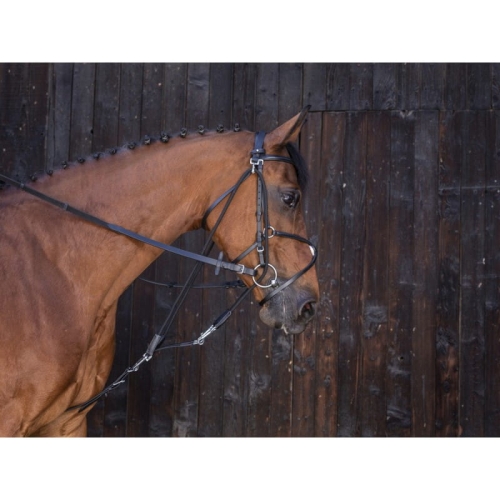 riding-world-gogue-with-pulleys (1).jpg