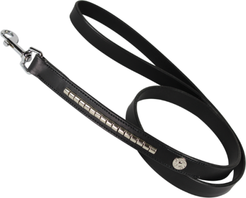 Smycz-dla-psa-KenTaur