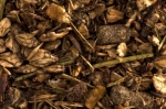 musli dla klaczy karmiących i źrebnych St. Hippolyt Equilac