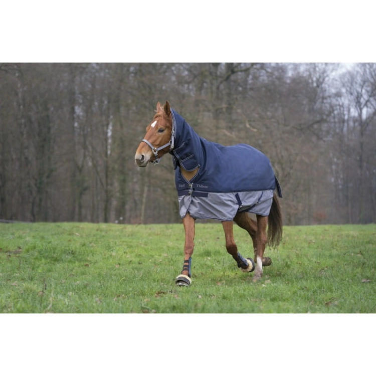 derka padokowa Equi Theme Tyrex 600 D Combo