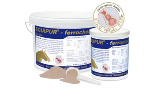 equipur-zelazo-ferrochel