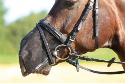 Maska-na-chrapy-Busse-Fly-Protector