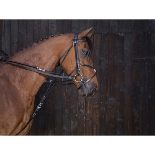 riding-world-leather-gogue-reins.jpg