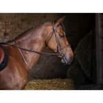 Wytok Riding World "Standing"