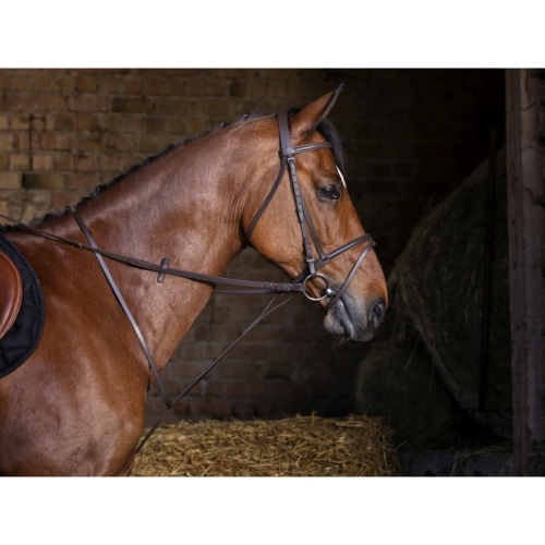 riding-world-standing-martingale (2).jpg