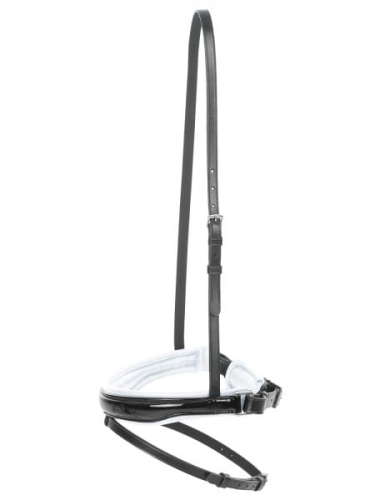 Nachrapnik-Busse-Comfort-Schweden-II-lakierowany